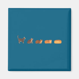 Aimant Évolution du pain de mie de chat maman chat drôle