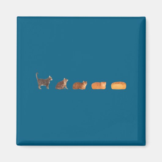 Aimant Évolution du pain de mie de chat maman chat drôle (Devant)