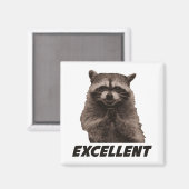 Aimant Excellent Raccoon de lot de mal (Recto/Verso)