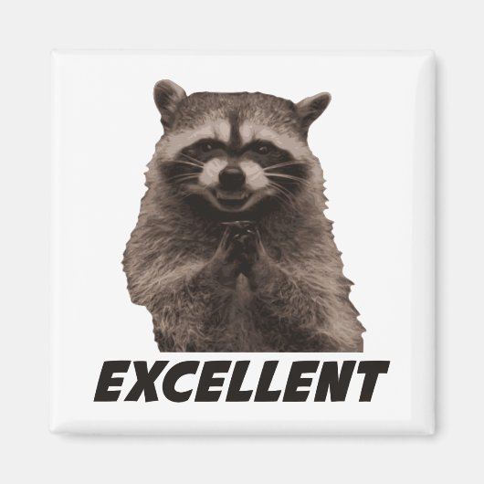 Aimant Excellent Raccoon de lot de mal (Devant)