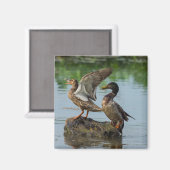 Aimant Excusez-moi (Recto/Verso)