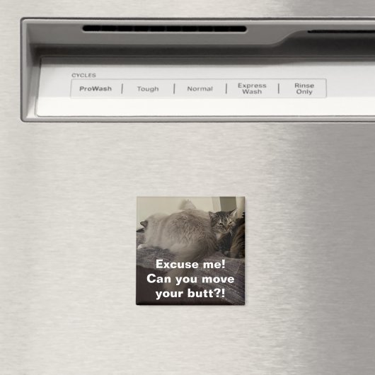 Aimant Excusez-Moi ? Peux-tu bouger ton cul ? ! (In Situ (Lave-vaisselle))