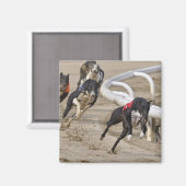 Aimant Exécuter sur la ligne (Recto/Verso)