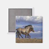 Aimant Exécution des années (Recto/Verso)