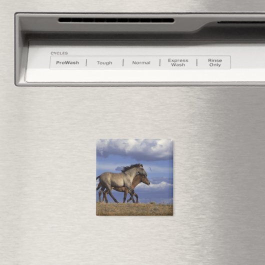 Aimant Exécution des années (In Situ (Lave-vaisselle))