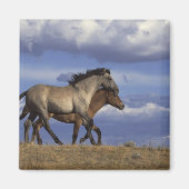 Aimant Exécution des années (Devant)