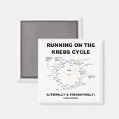 Aimant Exécution Sur Le Cycle Krebs (Humour Scientifique) (Recto/Verso)