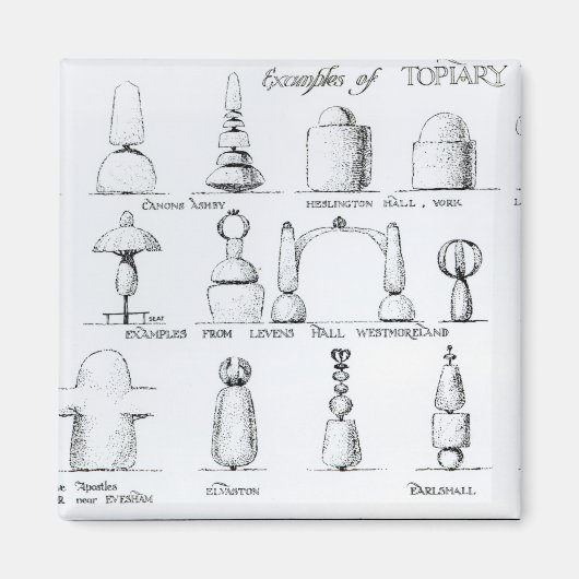 Aimant Exemples de travaux opiaires, 1902 (gravure) (b/w/ (Devant)