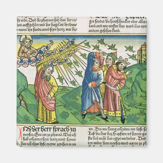 Aimant Exode 10:1-20 Les sept fléaux de l'Égypte : la pla (Devant)