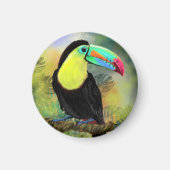 Aimant Exotique Tropical Toco Toucan Bird - Peinture Mign (Devant)