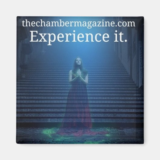 Aimant expérience (Devant)