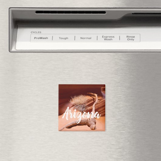 Aimant Explorer l'Arizona (In Situ (Lave-vaisselle))