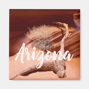 Aimant Explorez l'Arizona