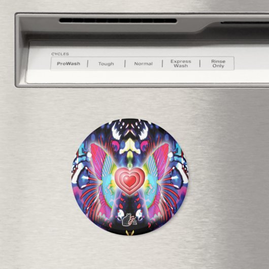 Aimant Explosion de feux d'artifice (In Situ (Lave-vaisselle))