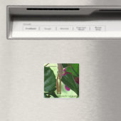 Aimant exterminateur (In Situ (Lave-vaisselle))