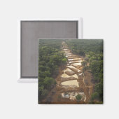 Aimant Extraction d'or allié. Rainforest, Guyana. (Recto/Verso)