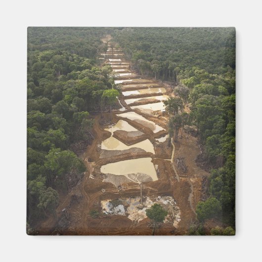 Aimant Extraction d'or allié. Rainforest, Guyana. (Devant)