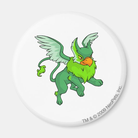 Aimant Eyrie Green (Devant)