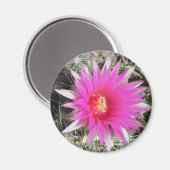 Aimant F12 Fleur de boule Cactus "Escobaria vivipara" (Recto/Verso)