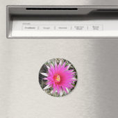 Aimant F12 Fleur de boule Cactus "Escobaria vivipara" (In Situ (Lave-vaisselle))