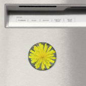 Aimant F16 Épervière jaune Roi diable (In Situ (Lave-vaisselle))