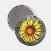 Aimant F1 Fleur sauvage jaune Gaillardia (Recto/Verso)