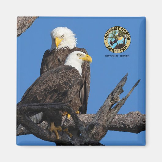 Aimant F23 et M15 - Une nouvelle ère dans le nid (Devant)