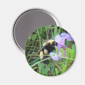 Aimant F2 Abeille sur Fleur Sauvage Violette (Recto/Verso)