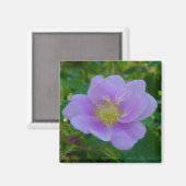 Aimant F37 Rose sauvage (Recto/Verso)