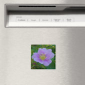 Aimant F37 Rose sauvage (In Situ (Lave-vaisselle))