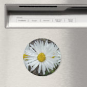 Aimant F42 Fleurs sauvages blanches Aster lisse (In Situ (Lave-vaisselle))