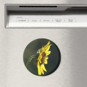 Aimant F43 Fleur sauvage jaune Susan aux yeux noirs (In Situ (Lave-vaisselle))