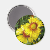 Aimant F6 Fleurs sauvages jaunes Gaillardia (Recto/Verso)