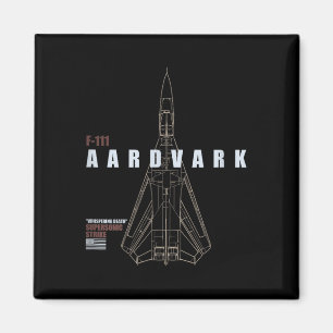 Aimant F-111 Aardvark