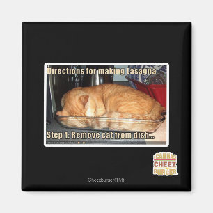 Aimant Fabrication du lasagne