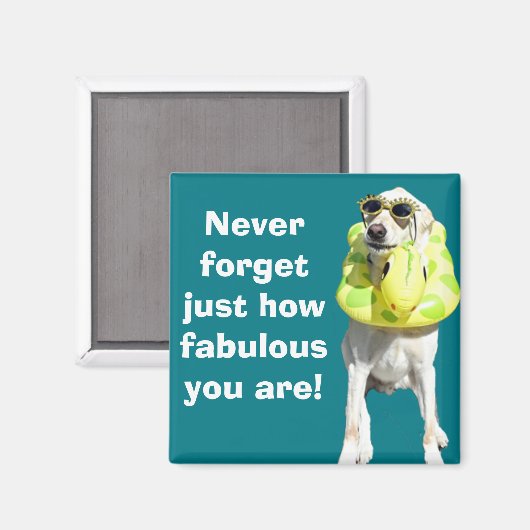 Aimant Fabuleux (Recto/Verso)