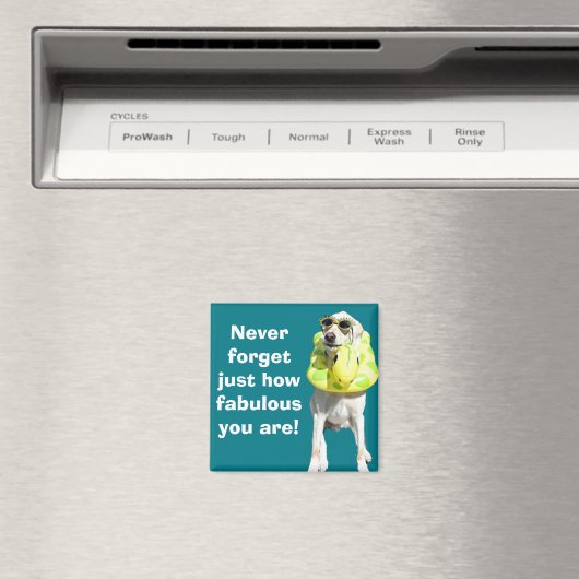 Aimant Fabuleux (In Situ (Lave-vaisselle))