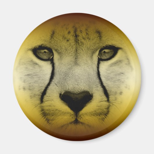 AIMANT FACE CHEETAH (Devant)