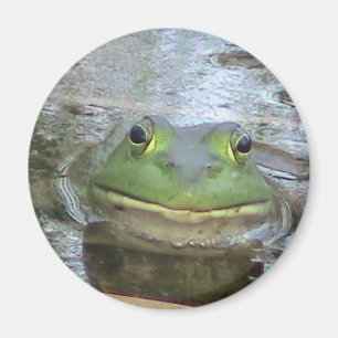 Aimant Face de grenouille souriante