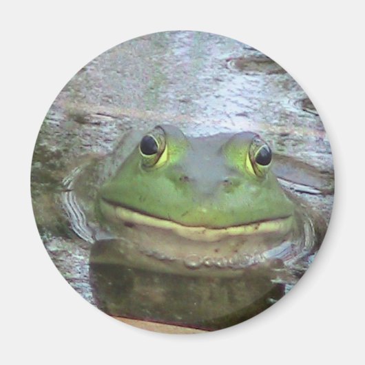 Aimant Face de grenouille souriante (Devant)