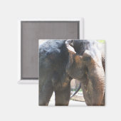 Aimant Face d'éléphant (Recto/Verso)
