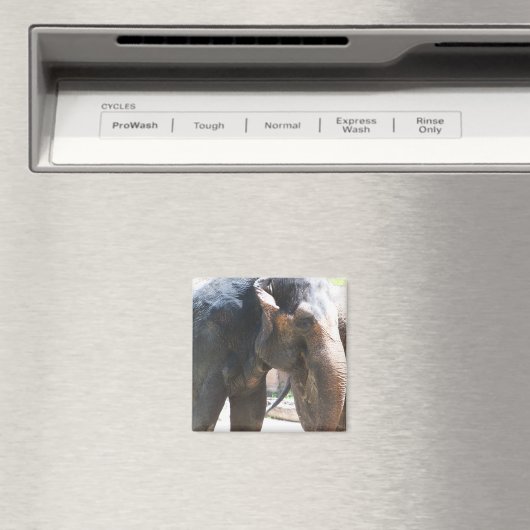 Aimant Face d'éléphant (In Situ (Lave-vaisselle))