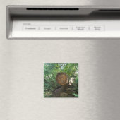 Aimant Face sur un arbre (In Situ (Lave-vaisselle))