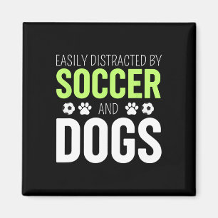 Aimant Facilement Distrait Par Le Football Et Les Chiens