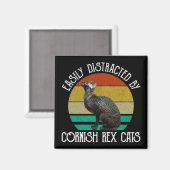 Aimant Facilement Distrait Par Les Chats Cornish Rex (Recto/Verso)