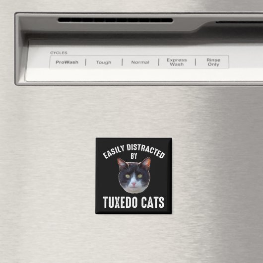 Aimant Facilement Distrait Par Les Chats Tuxedo (In Situ (Lave-vaisselle))