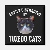 Aimant Facilement Distrait Par Les Chats Tuxedo (Devant)