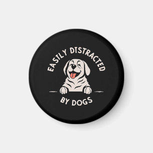 Aimant Facilement distrait par les chiens