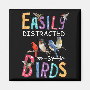 Aimant Facilement Distrait Par Les Oiseaux Drôle Oiseau