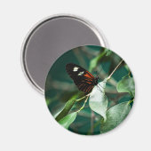 Aimant Facteur 184 (Recto/Verso)